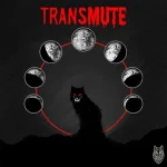 Wolf - Transmute